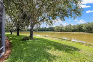19109 White Wing Pl, Tampa, FL 33647 - Photo 43
