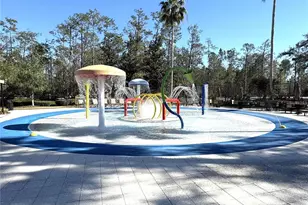2320 Spring Hollow Loop, Wesley Chapel, FL 33544 - Photo 31