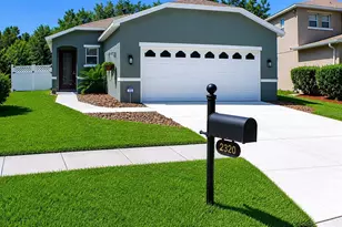 2320 Spring Hollow Loop, Wesley Chapel, FL 33544 - Photo 1