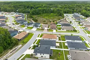 12636 Sourwood Way, New Port Richey, FL 34654 - Photo 47