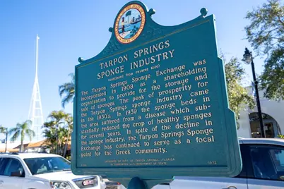 723 Pent Street, Tarpon Springs, FL 34689 - Photo 47