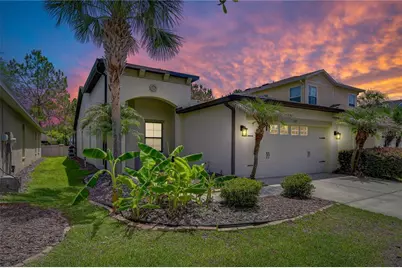 7847 Tuscany Woods Drive, Tampa, FL 33647 - Photo 1