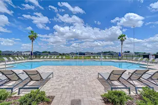 13238 Baby Belle Dr, Riverview, FL 33579 - Photo 27