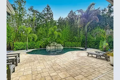 15401 Azra Drive, Odessa, FL 33556 - Photo 71