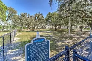 11927 Streambed Dr, Riverview, FL 33579 - Photo 35