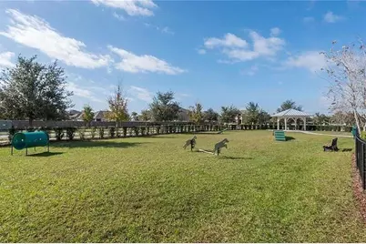 18814 Cornuta Street, Lutz, FL 33558 - Photo 51