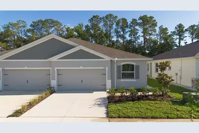 31351 Paper Birch Street, Wesley Chapel, FL 33545 - Photo 1