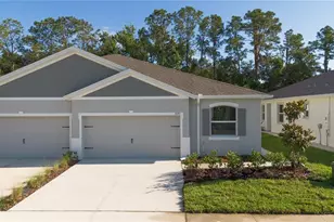 31351 Paper Birch St, Wesley Chapel, FL 33545 - Photo 1