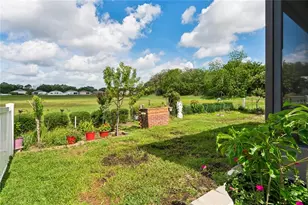 799 Alpine Thistle Dr, Brooksville, FL 34604 - Photo 53
