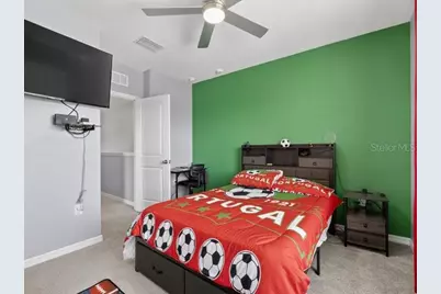 416 Mangrove Shade Circle, Apollo Beach, FL 33572 - Photo 43