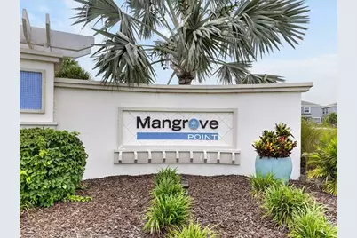 416 Mangrove Shade Circle, Apollo Beach, FL 33572 - Photo 55