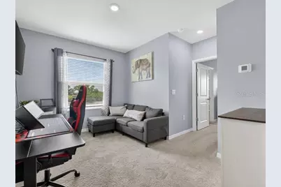 416 Mangrove Shade Circle, Apollo Beach, FL 33572 - Photo 29