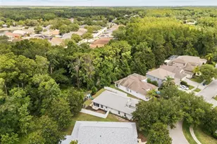 15738 Cedar Elm Terrace, Land O Lakes, FL 34638 - Photo 17