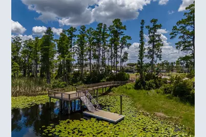 1686 Cherry Walk Road, Lutz, FL 33558 - Photo 69