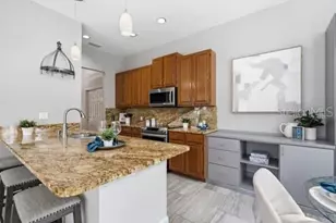 4415 Ave Cannes, Lutz, FL 33558 - Photo 21