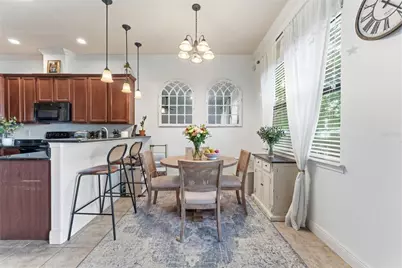 10285 Villa Palazzo Court, Tampa, FL 33615 - Photo 3