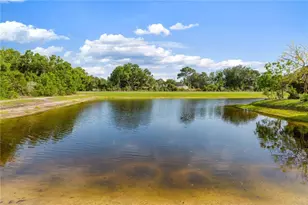 1623 Gray Bark Dr, Oldsmar, FL 34677 - Photo 33