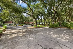 2603 2nd Ct, Palm Harbor, FL 34684 - Photo 27
