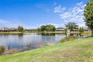 10506 Alcon Blue Dr, Riverview, FL 33578 - Photo 47