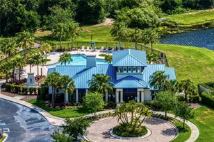 10506 Alcon Blue Dr, Riverview, FL 33578 - Photo 55