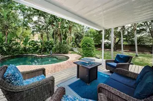 3525 Fairview St, Safety Harbor, FL 34695 - Photo 71