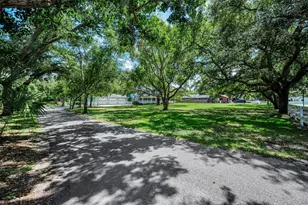 3525 Fairview St, Safety Harbor, FL 34695 - Photo 9