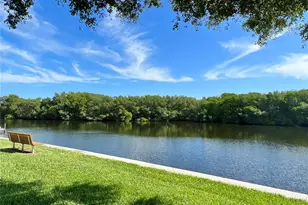 217 Mt Piney Ave NE, Saint Petersburg, FL 33702 - Photo 23