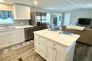 217 Mt Piney Ave NE, Saint Petersburg, FL 33702 - Photo 5