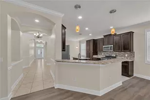 17433 New Cross Cir, Lithia, FL 33547 - Photo 7