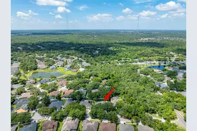 15211 Merlinglen Place, Lithia, FL 33547 - Photo 3