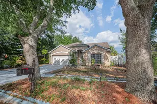 1721 Hunter Ln, Tarpon Springs, FL 34689 - Photo 7