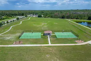 11621 Tetrafin Dr, Riverview, FL 33579 - Photo 95