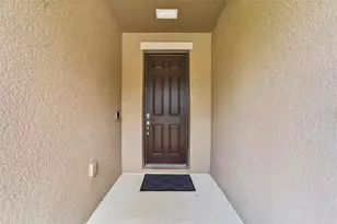 11621 Tetrafin Dr, Riverview, FL 33579 - Photo 5