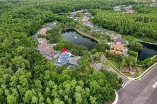 11721 Gothic Ln, Tampa, FL 33626 - Photo 41