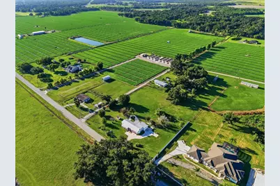 1113 Colson Road, Plant City, FL 33567 - Photo 29