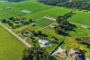 1113 Colson Rd, Plant City, FL 33567 - Photo 29