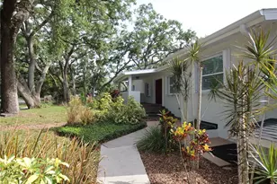 2436 Navarez Ave, Safety Harbor, FL 34695 - Photo 9