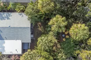 116 Read St, Tarpon Springs, FL 34689 - Photo 87