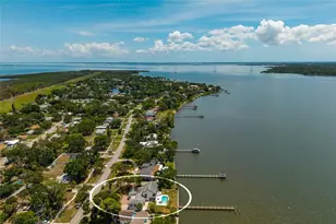 412 Shore Dr E, Oldsmar, FL 34677 - Photo 71