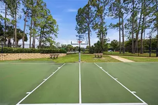 16233 Carnoustie Dr, Odessa, FL 33556 - Photo 51