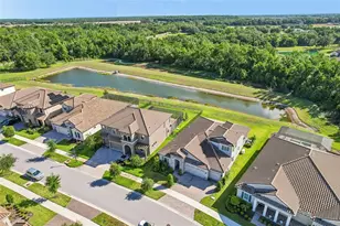 14142 Swiss Bridge Dr, Riverview, FL 33579 - Photo 51