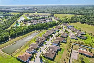 14142 Swiss Bridge Dr, Riverview, FL 33579 - Photo 57