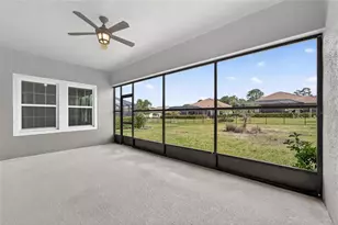 155 Sabal Breeze Ct, Brandon, FL 33511 - Photo 81