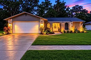 3745 Thornbush Ln, New Port Richey, FL 34655 - Photo 59