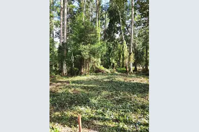 7709 Windward Way, Odessa, FL 33556 - Photo 43