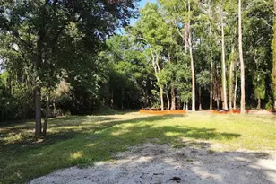 7709 Windward Way, Odessa, FL 33556 - Photo 11