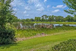 10409 Crimson Park Ln, Tampa, FL 33626 - Photo 61