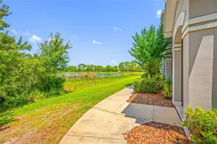 10409 Crimson Park Ln, Tampa, FL 33626 - Photo 59