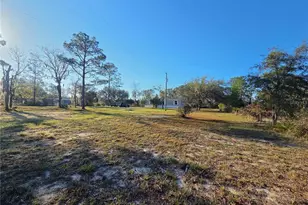 12070 NE 63rd Pl, Williston, FL 32696 - Photo 35