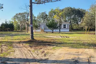 12070 NE 63rd Pl, Williston, FL 32696 - Photo 33
